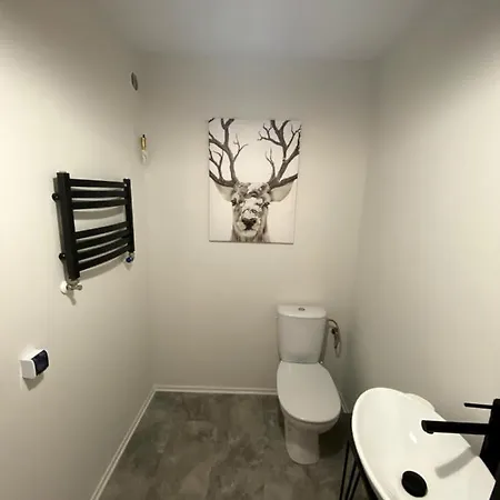 Апартаменты Apartament Przy Ratuszu Пиш